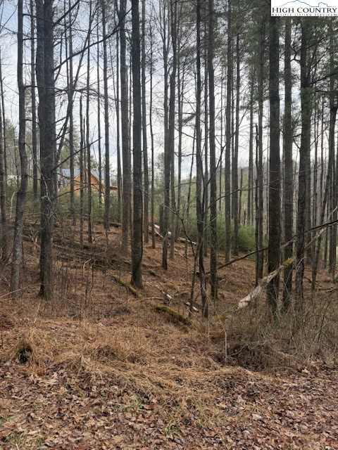 468 Skyline Road West Jefferson, NC 28694 - Photo 3 of 6 a view of outdoor space with green space