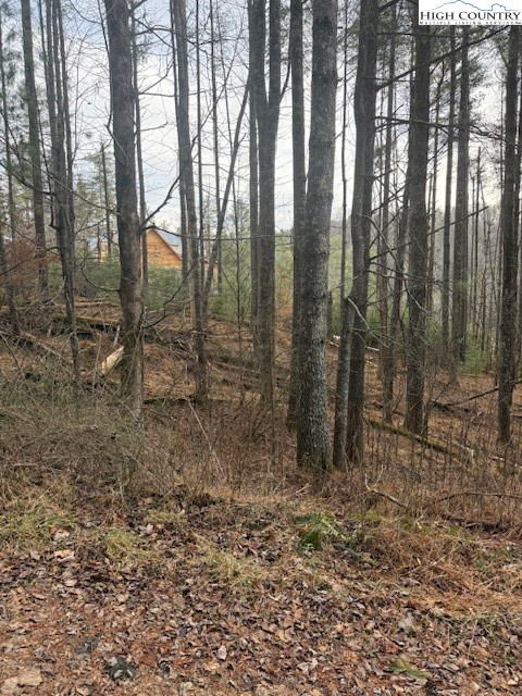 468 Skyline Road West Jefferson, NC 28694 - Photo 4 of 6 a view of a forest with trees in the background
