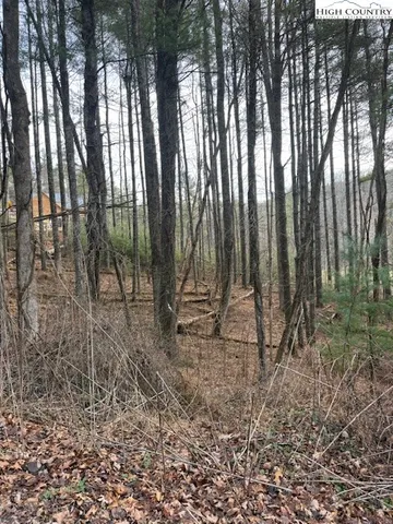 a view of backyard with green space