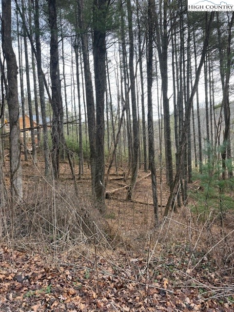 468 Skyline Road West Jefferson, NC 28694 - Photo 5 of 6 a view of backyard with green space