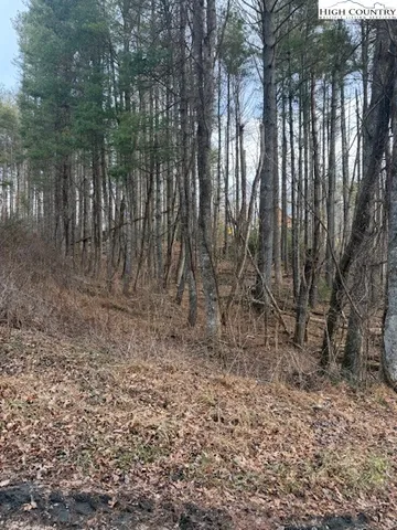 a view of backyard of the house