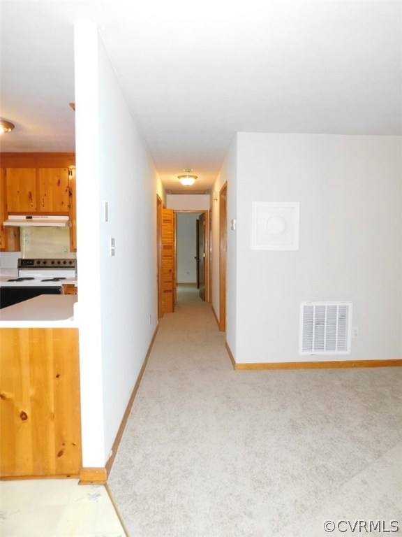 137 Mahan Road Farmville, VA 23901 - Photo 8 of 24