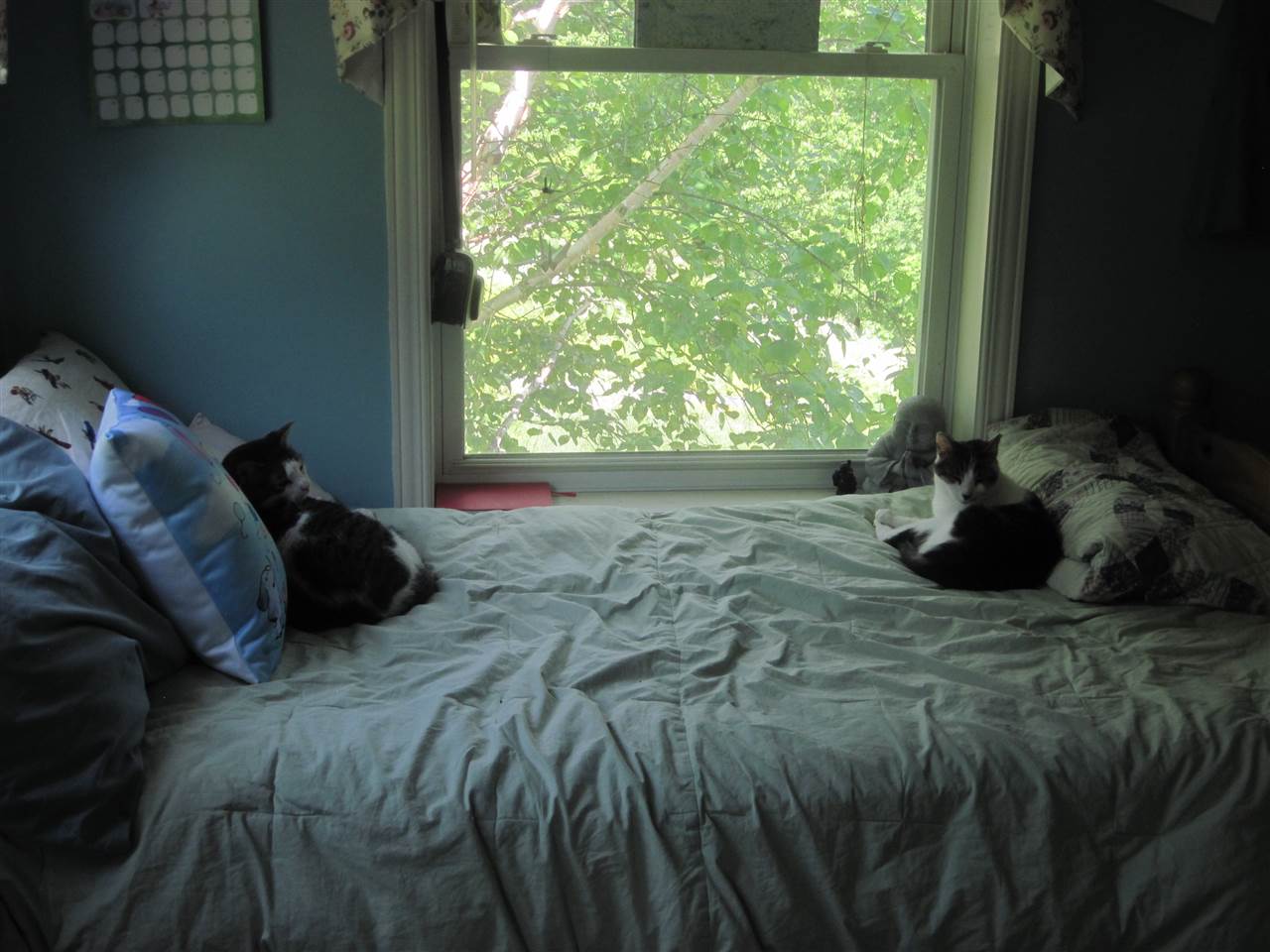 332 Music Mountain Road Stockbridge, VT 05772 - Photo 18 of 28