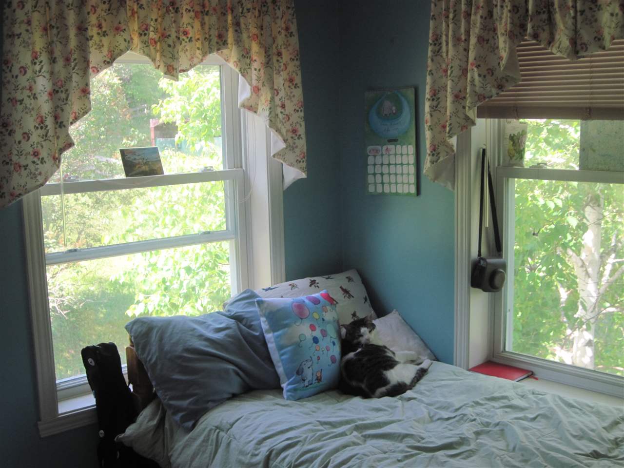 332 Music Mountain Road Stockbridge, VT 05772 - Photo 19 of 28