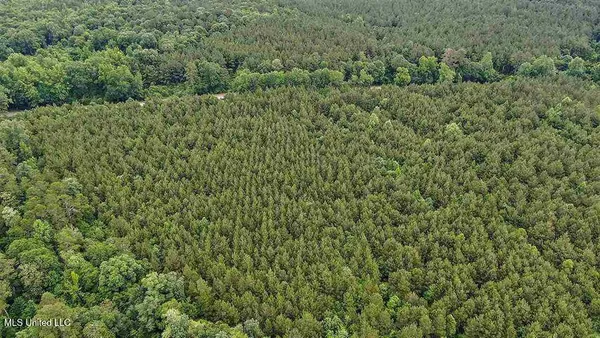 $975,000 | 2 Highway 28, Laurel, MS 39443