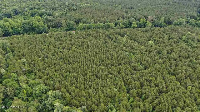 $975,000 | 2 Highway 28, Laurel, MS 39443