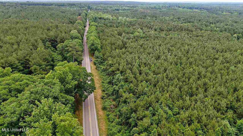 2 Highway 28 Laurel, MS 39443 - Photo 4 of 7 20210917125423108639000000-o