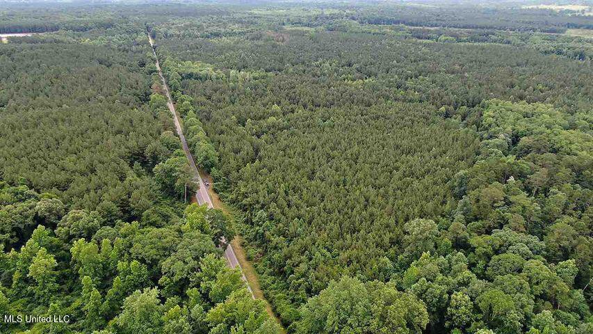 2 Highway 28 Laurel, MS 39443 - Photo 6 of 7 20210917125424277597000000-o