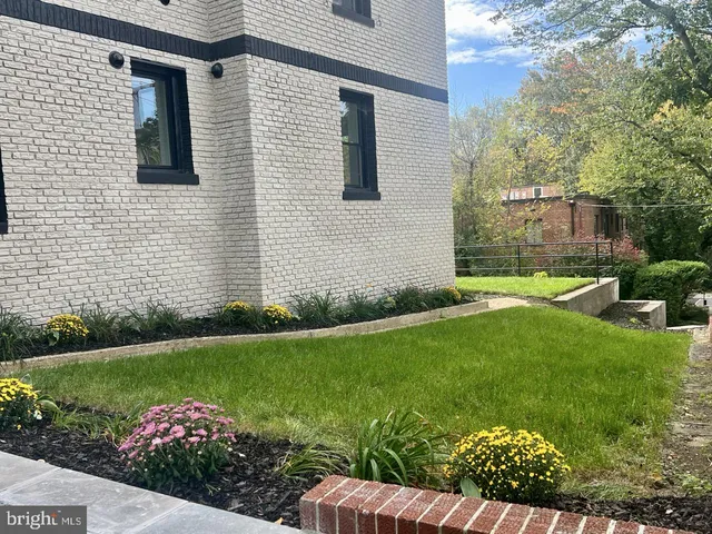a view of a backyard with potted plants
