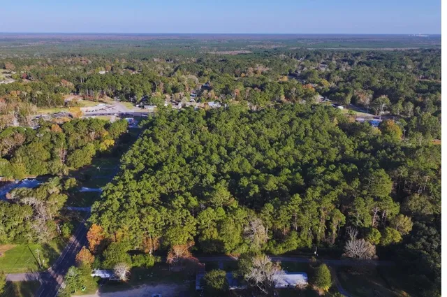 a view of a city with lush green forest