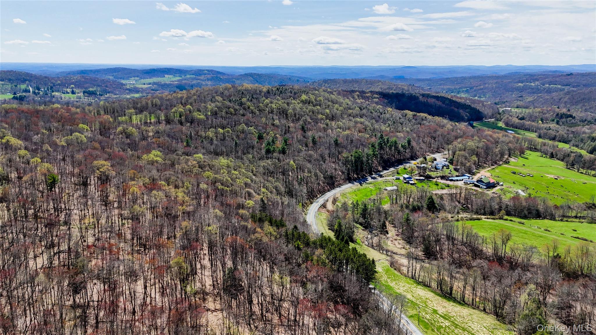 624 County Road Fremont Center, NY 12736 - Photo 1 of 33