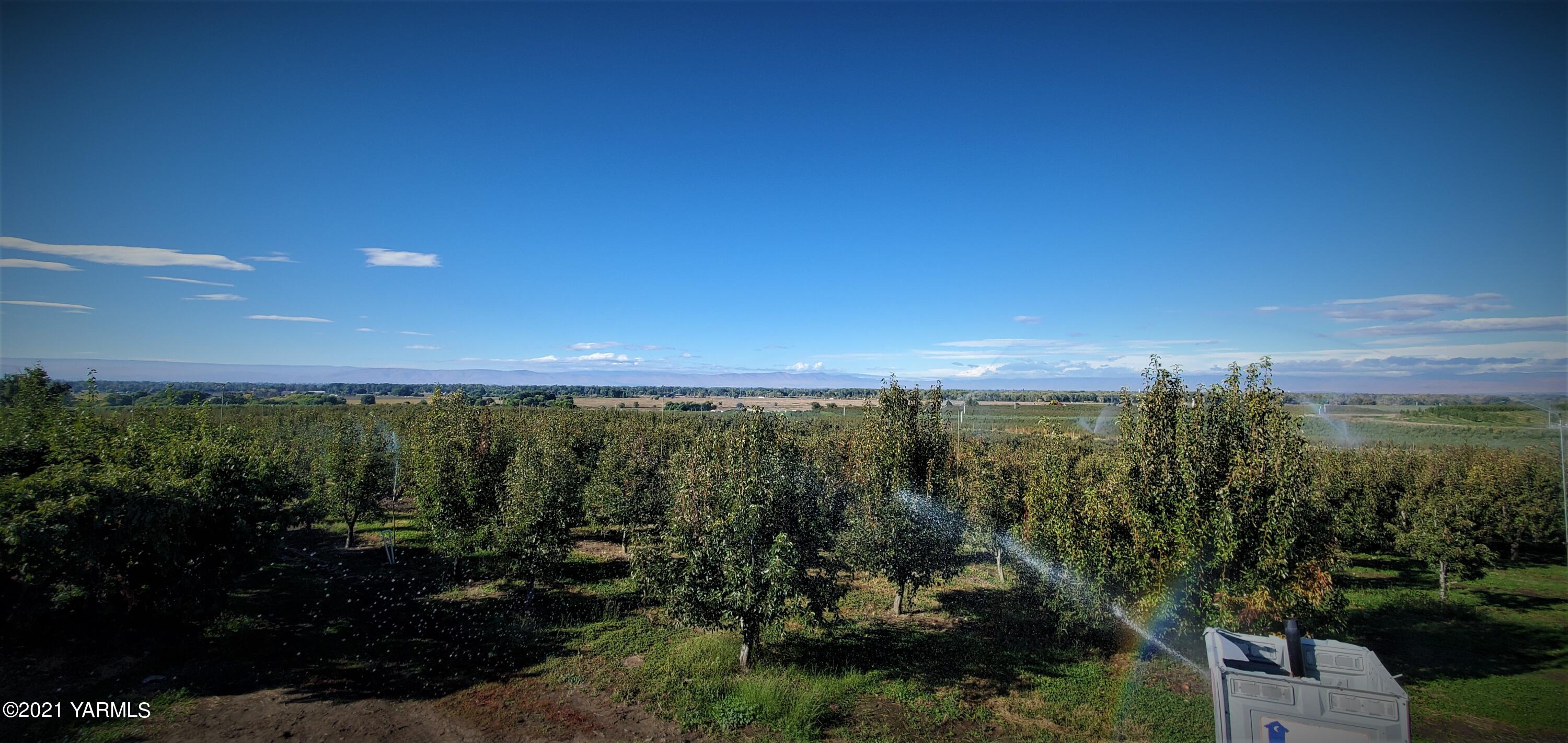 Nka Knight Hill Road Zillah, WA 98953 - Photo 14 of 15 a view of a city from a yard
