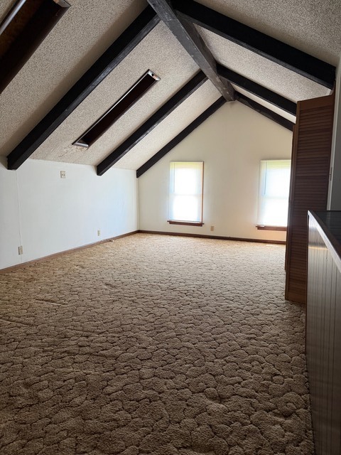 204 East Ash Street Chatsworth, IL 60921 - Photo 11 of 12