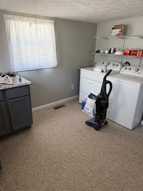 204 East Ash Street Chatsworth, IL 60921 - Photo 6 of 12