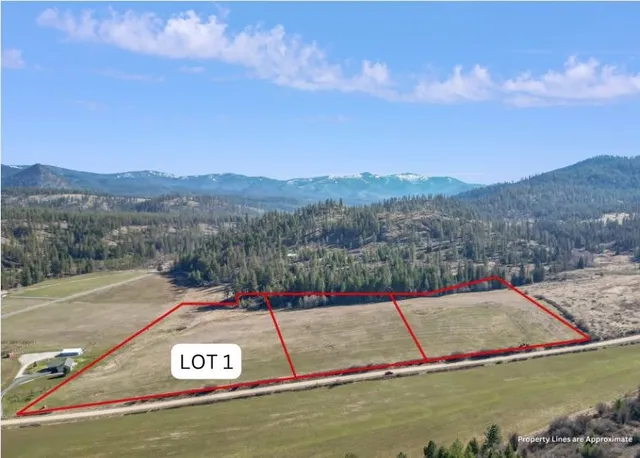 $89,950 | 0 Skok Road, Unit LOT 1, Loon Lake, WA 99148