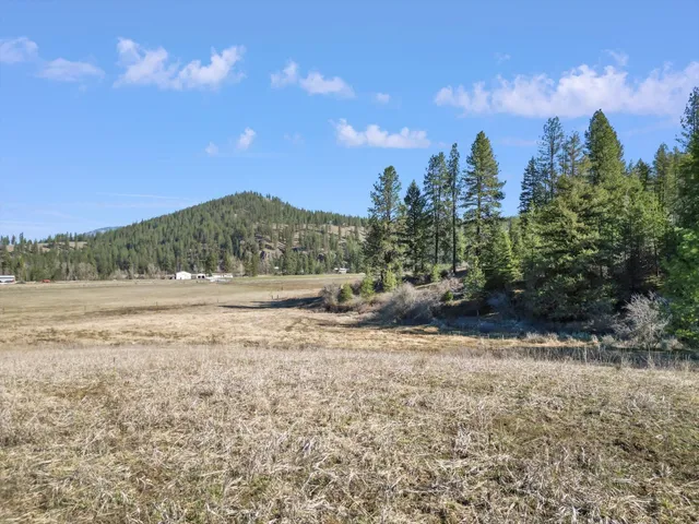 $89,950 | 0 Skok Road, Unit LOT 1, Loon Lake, WA 99148