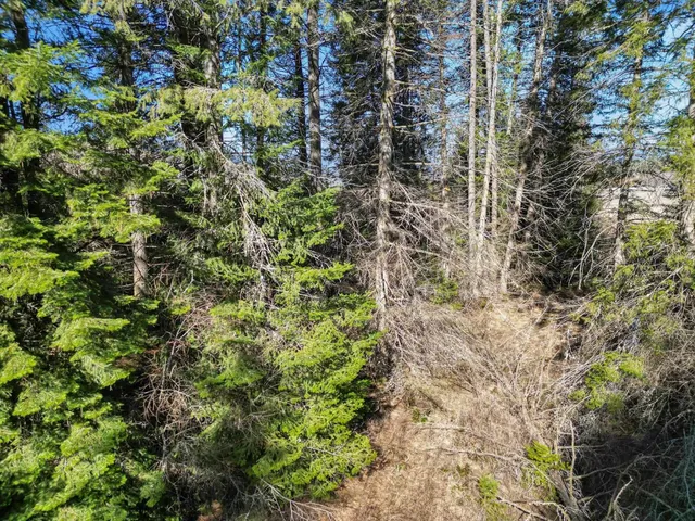 $89,950 | 0 Skok Road, Unit LOT 1, Loon Lake, WA 99148