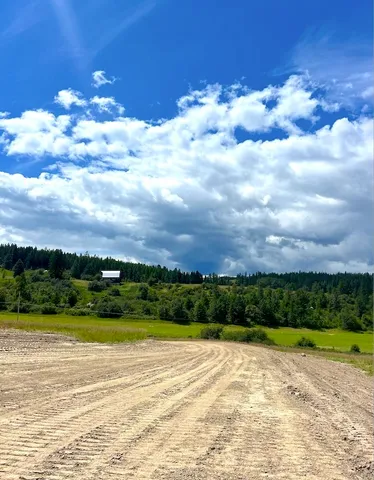 $89,950 | 0 Skok Road, Unit LOT 1, Loon Lake, WA 99148