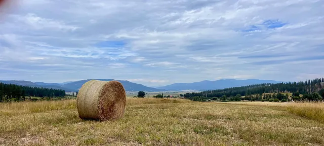 $89,950 | 0 Skok Road, Unit LOT 1, Loon Lake, WA 99148