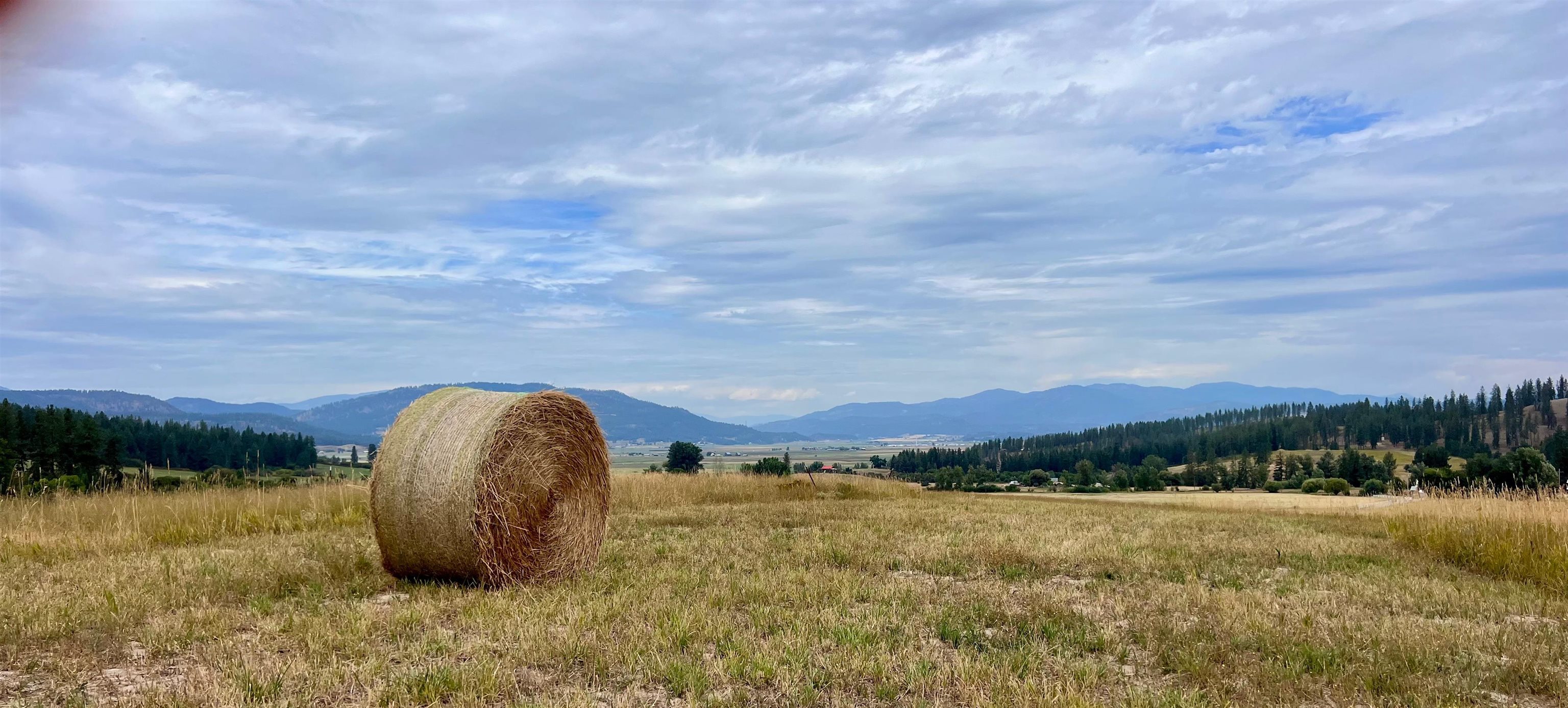 0 Skok Road, Unit LOT 1 Loon Lake, WA 99148 - Photo 6 of 30