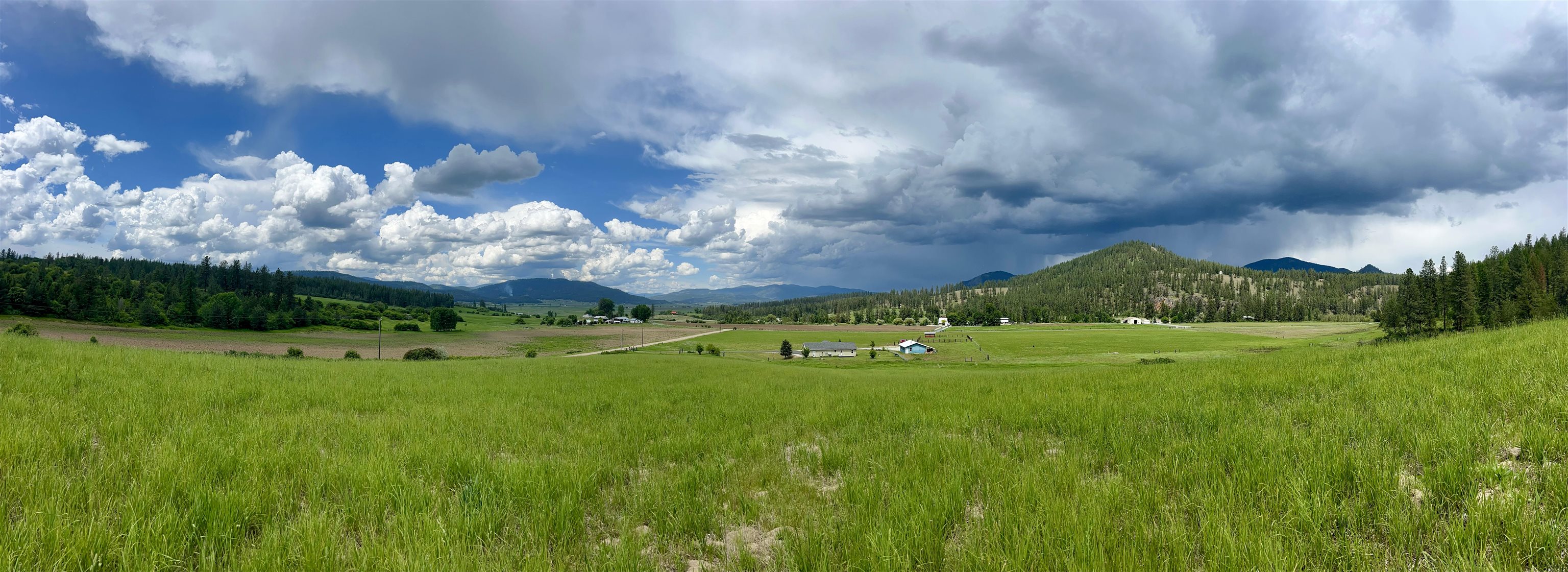 0 Skok Road, Unit LOT 1 Loon Lake, WA 99148 - Photo 9 of 30