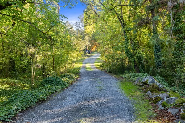 $1,400,000 | 8436 Wise Road, Auburn, CA 95603
