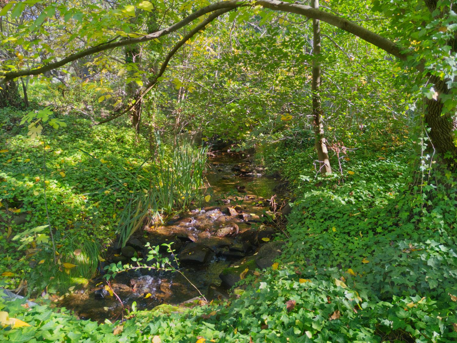 8436 Wise Road Auburn, CA 95603 - Photo 2 of 38