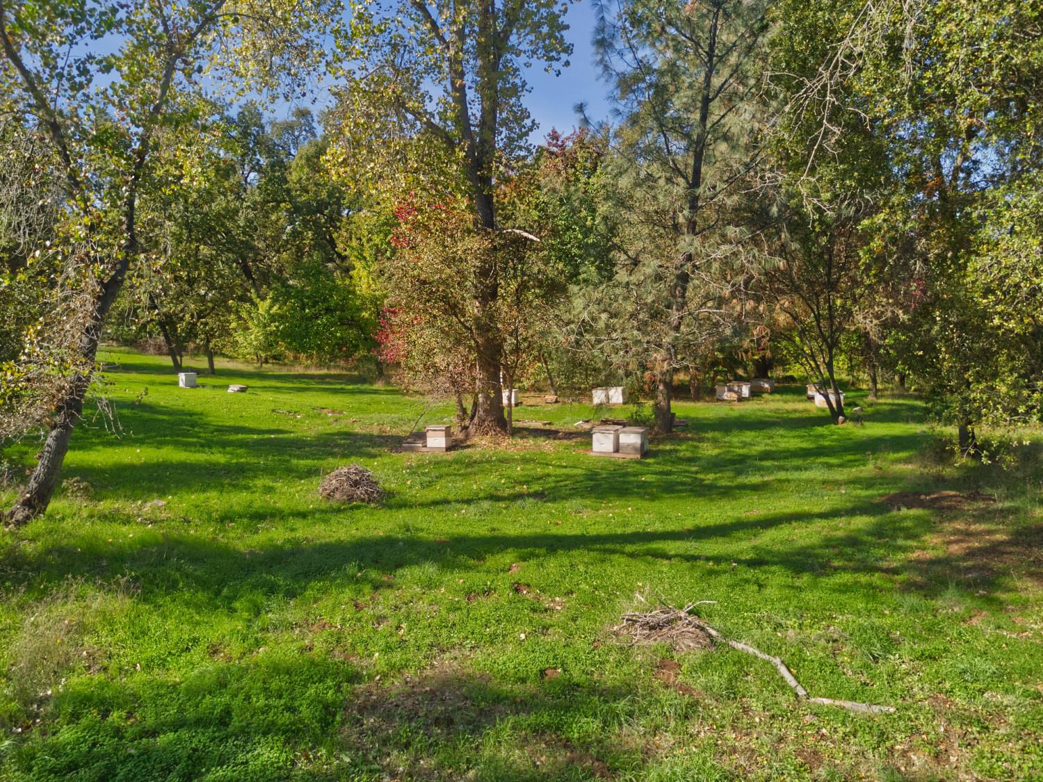 8436 Wise Road Auburn, CA 95603 - Photo 28 of 38