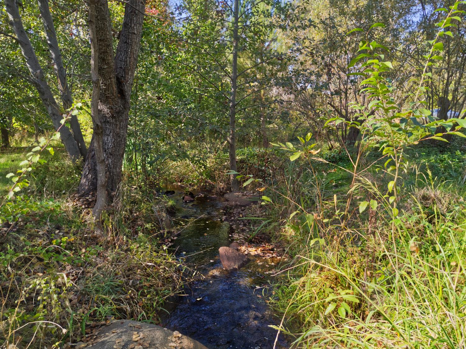 8436 Wise Road Auburn, CA 95603 - Photo 29 of 38