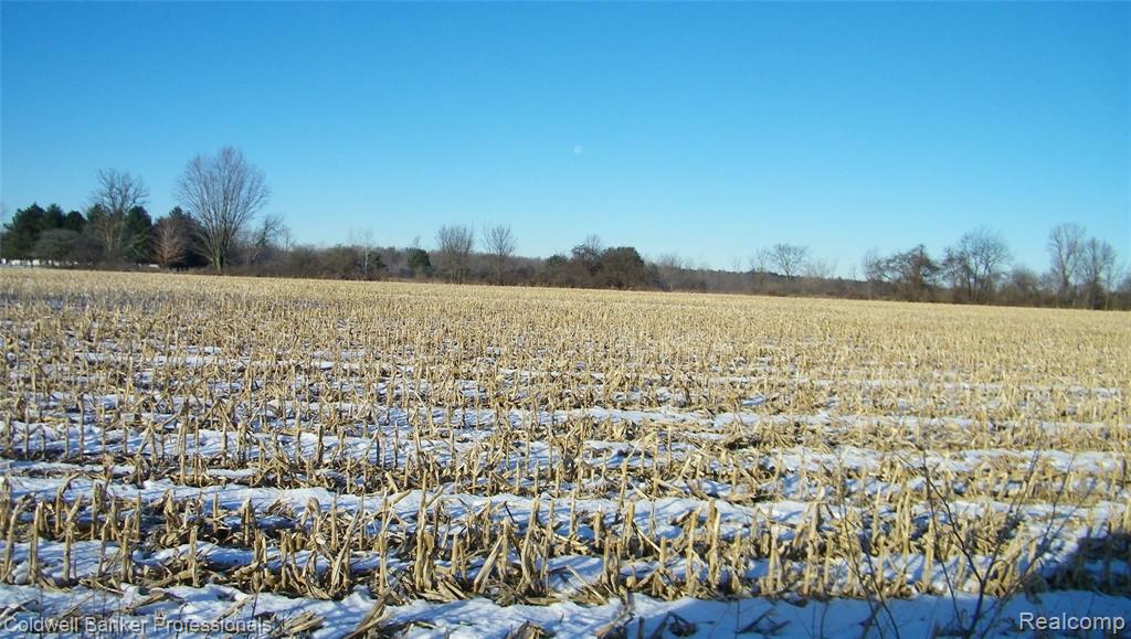 Par A Castle Road North Branch, MI 48461 - Photo 4 of 5