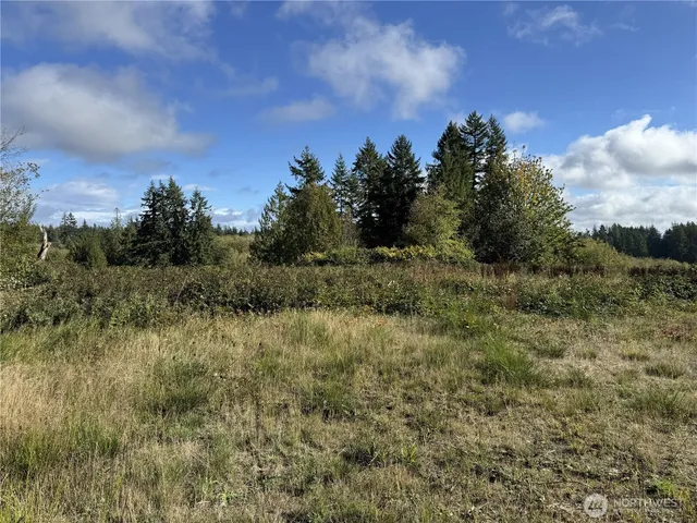 a view of a field of grass and trees