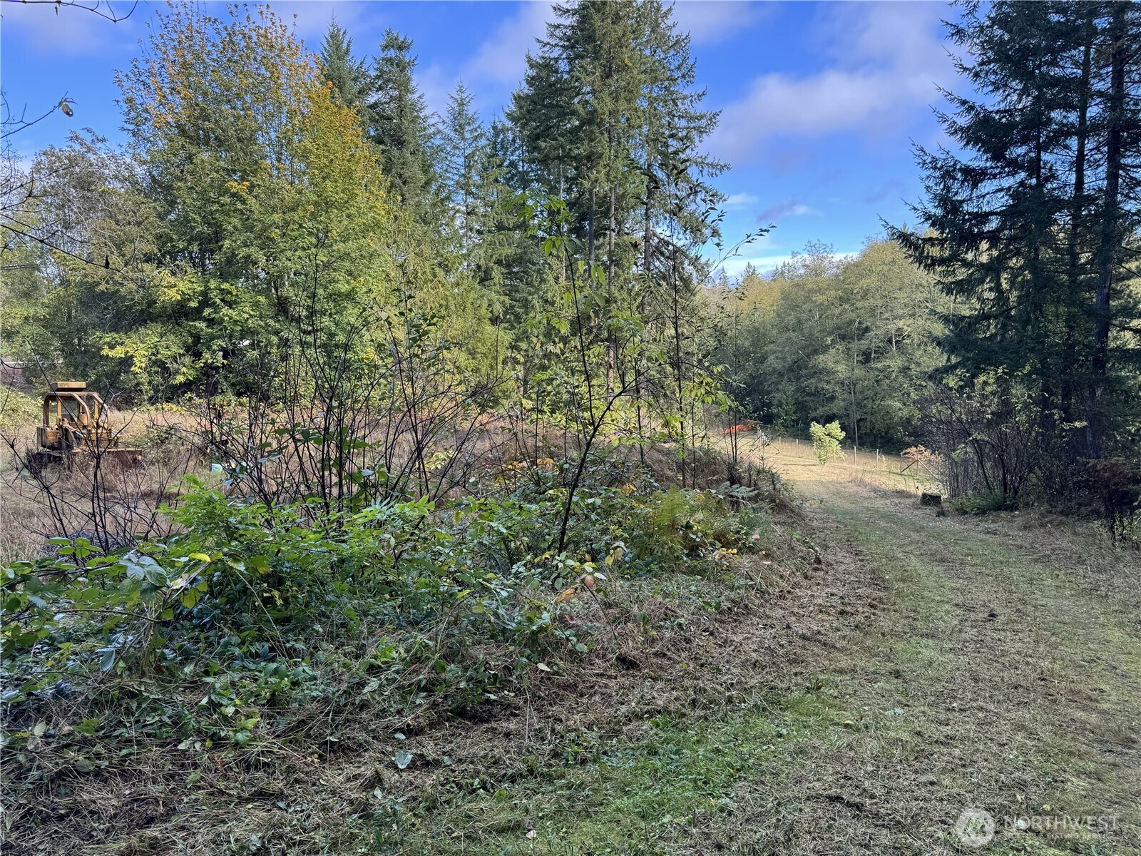 0 Northwest Sigurd Hanson Road Silverdale, WA 98383 - Photo 11 of 24 a view of a forest with lots of trees