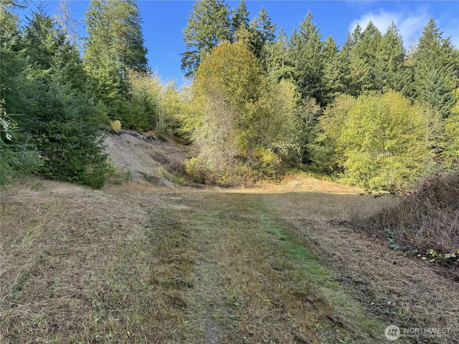 0 Northwest Sigurd Hanson Road Silverdale, WA 98383 - Photo 12 of 24 a view of a yard with lots of bushes