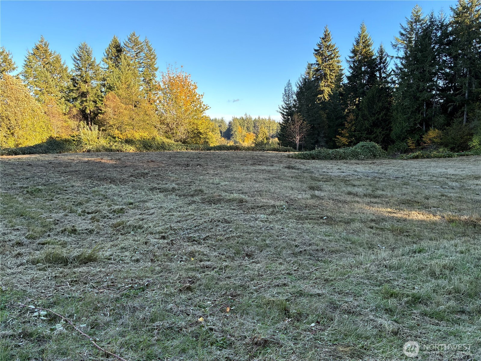 0 Northwest Sigurd Hanson Road Silverdale, WA 98383 - Photo 13 of 24 a view of a field with trees in background