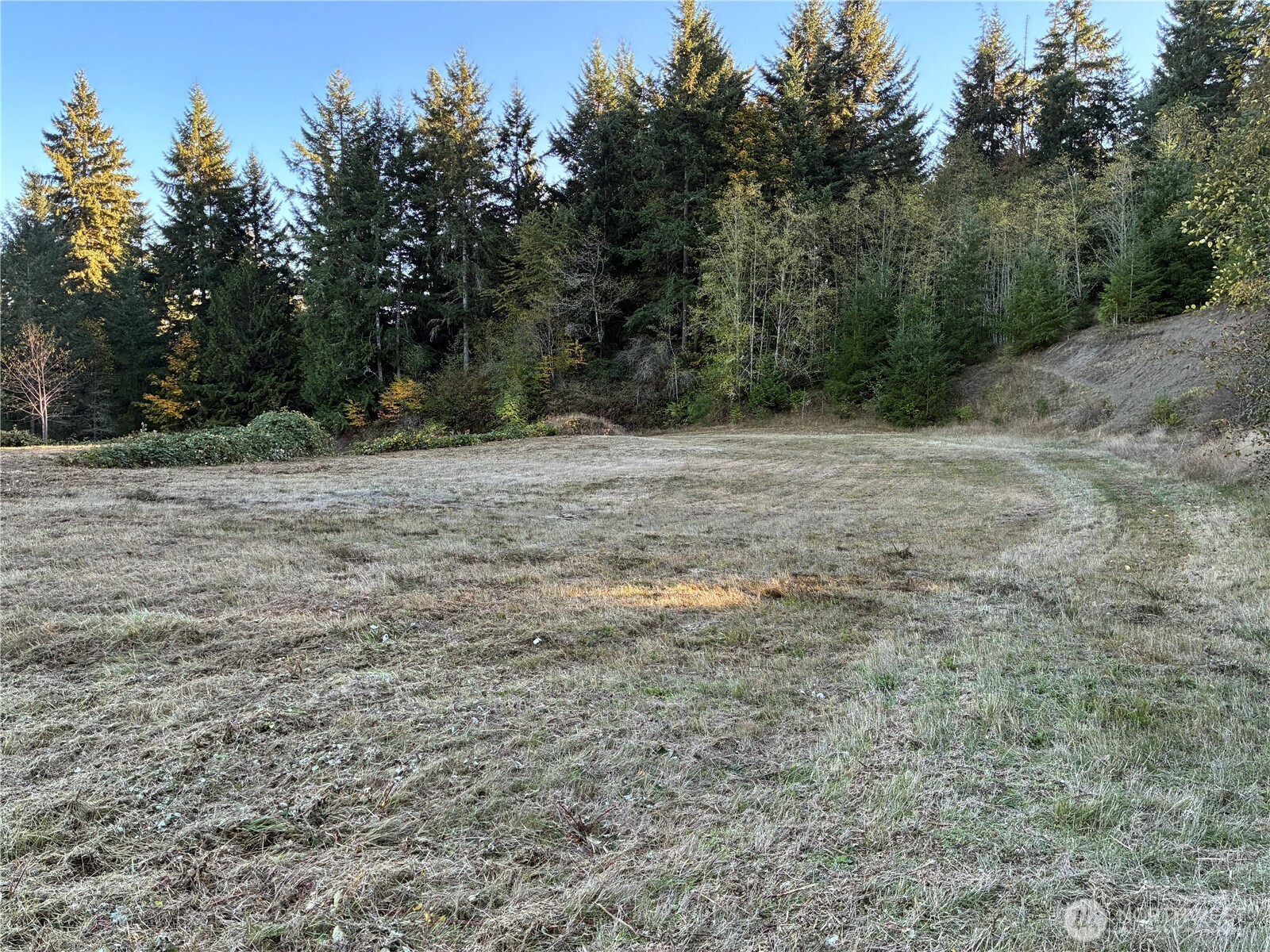 0 Northwest Sigurd Hanson Road Silverdale, WA 98383 - Photo 14 of 24 a view of beach and tree