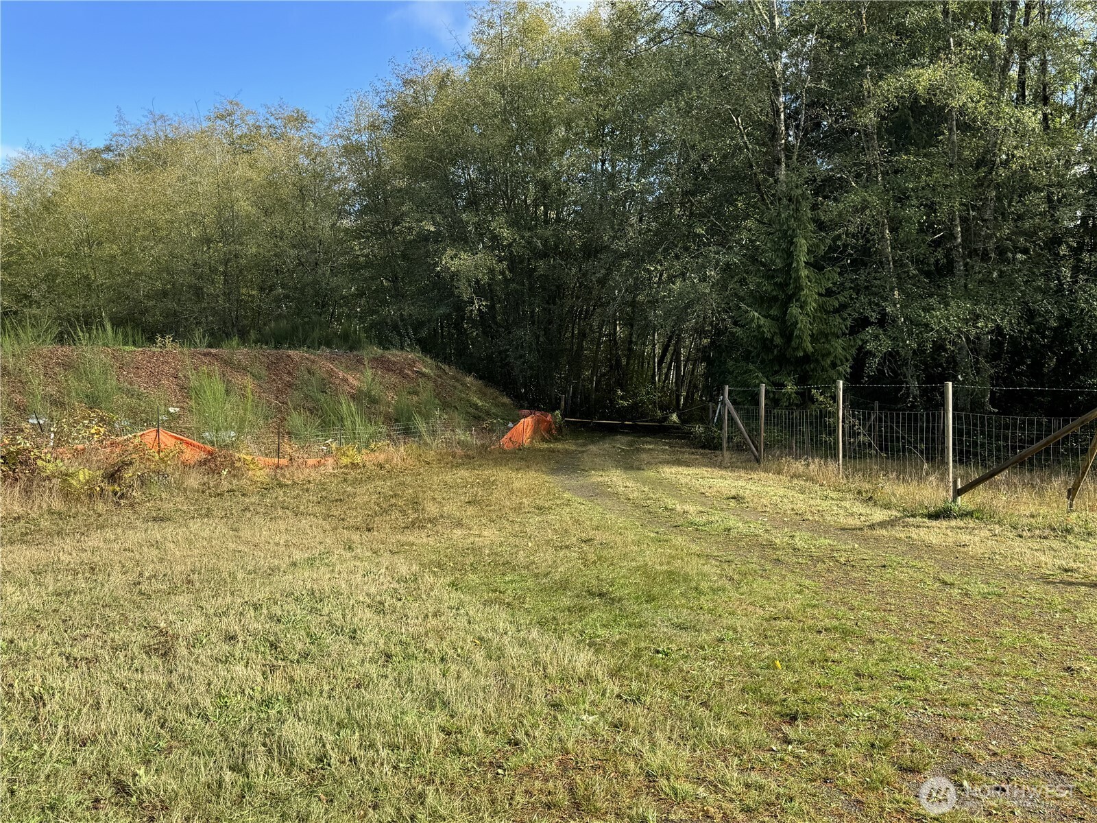 0 Northwest Sigurd Hanson Road Silverdale, WA 98383 - Photo 19 of 24 a backyard of a house with lots of green space