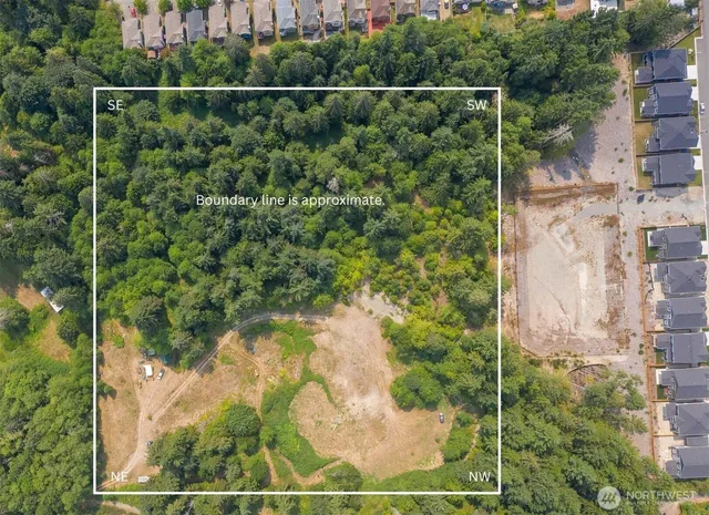 a view of a trees with a tree