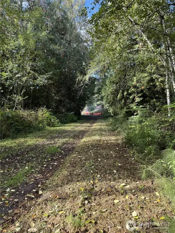 a view of outdoor space and a yard