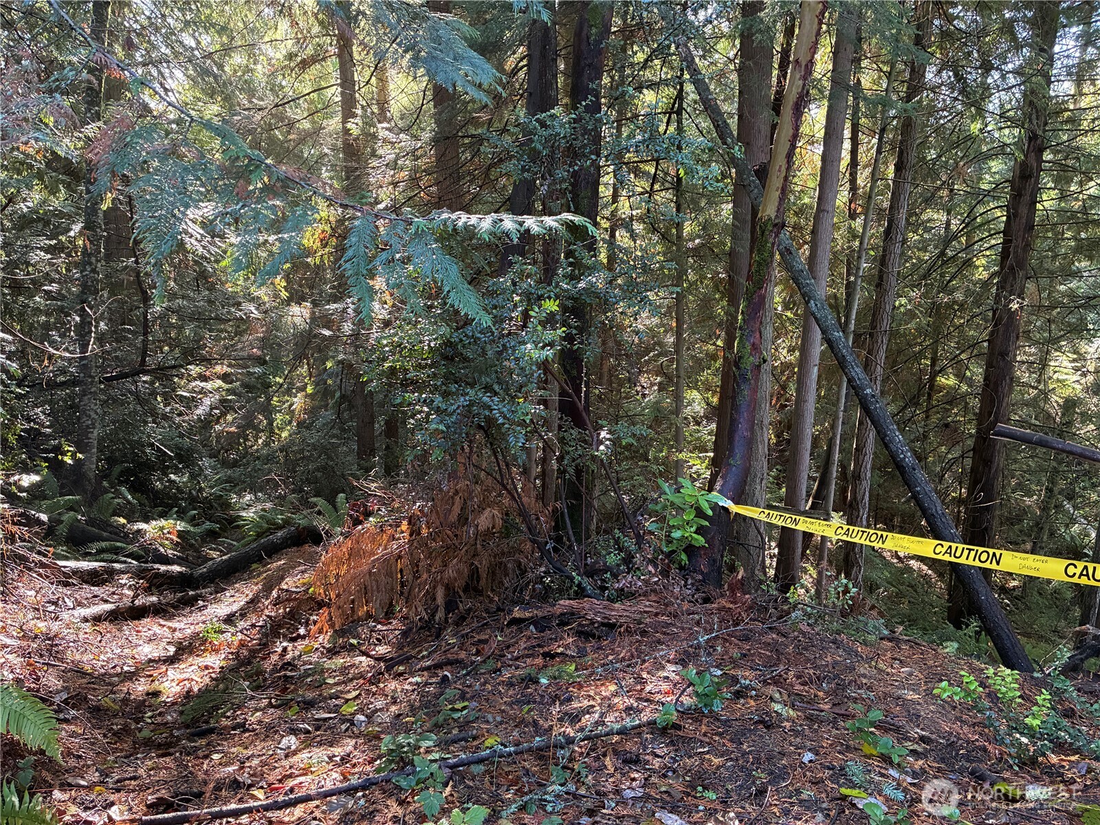 0 Northwest Sigurd Hanson Road Silverdale, WA 98383 - Photo 23 of 24 a backyard of a house with lots of green space