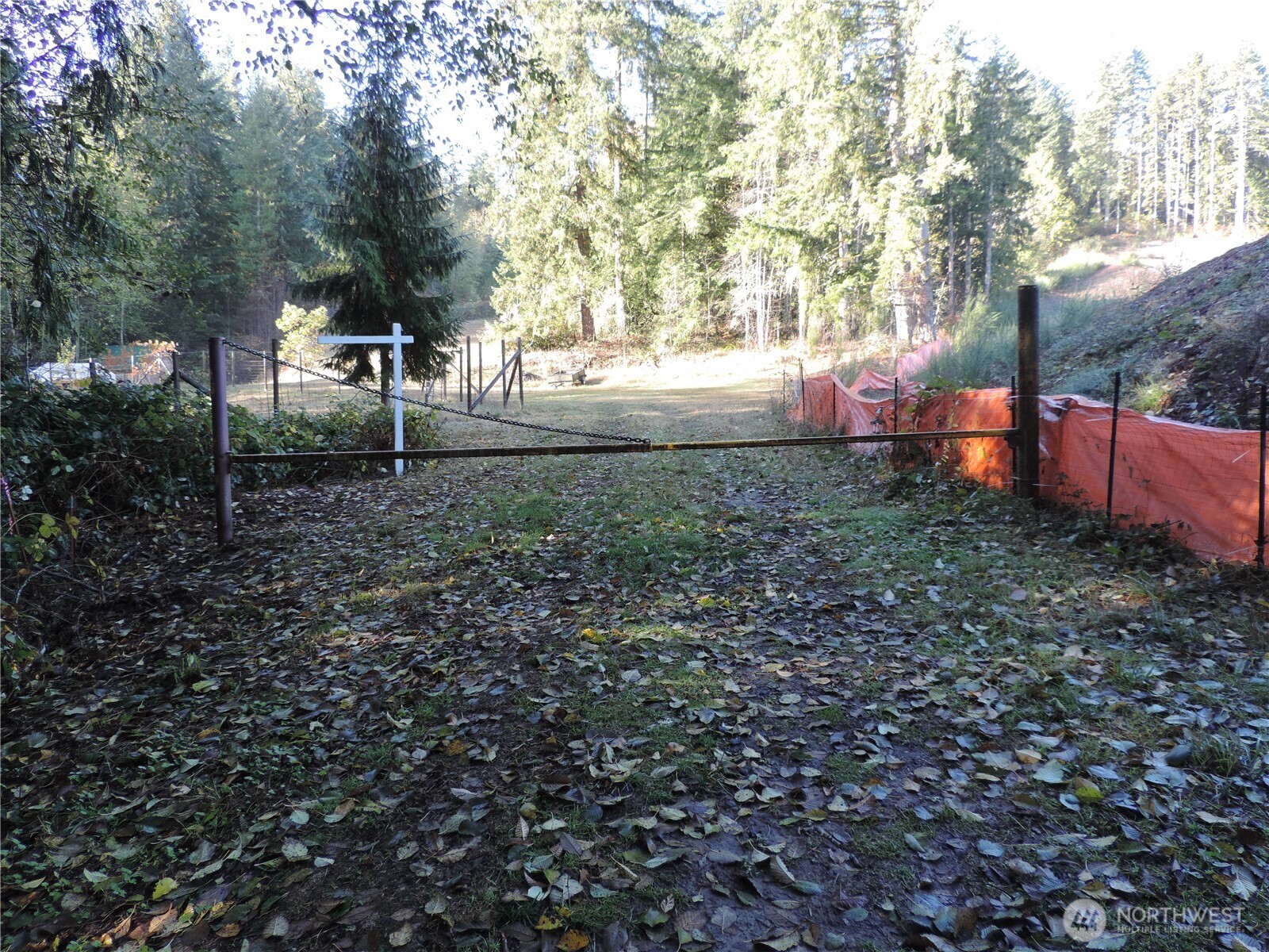 0 Northwest Sigurd Hanson Road Silverdale, WA 98383 - Photo 24 of 24 a backyard of a house with lots of green space