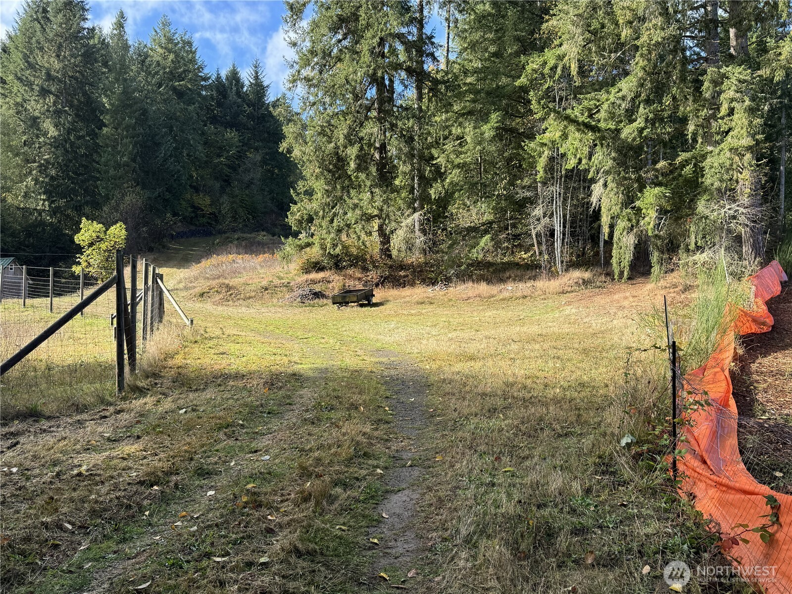 0 Northwest Sigurd Hanson Road Silverdale, WA 98383 - Photo 4 of 24 a view of yard with trees