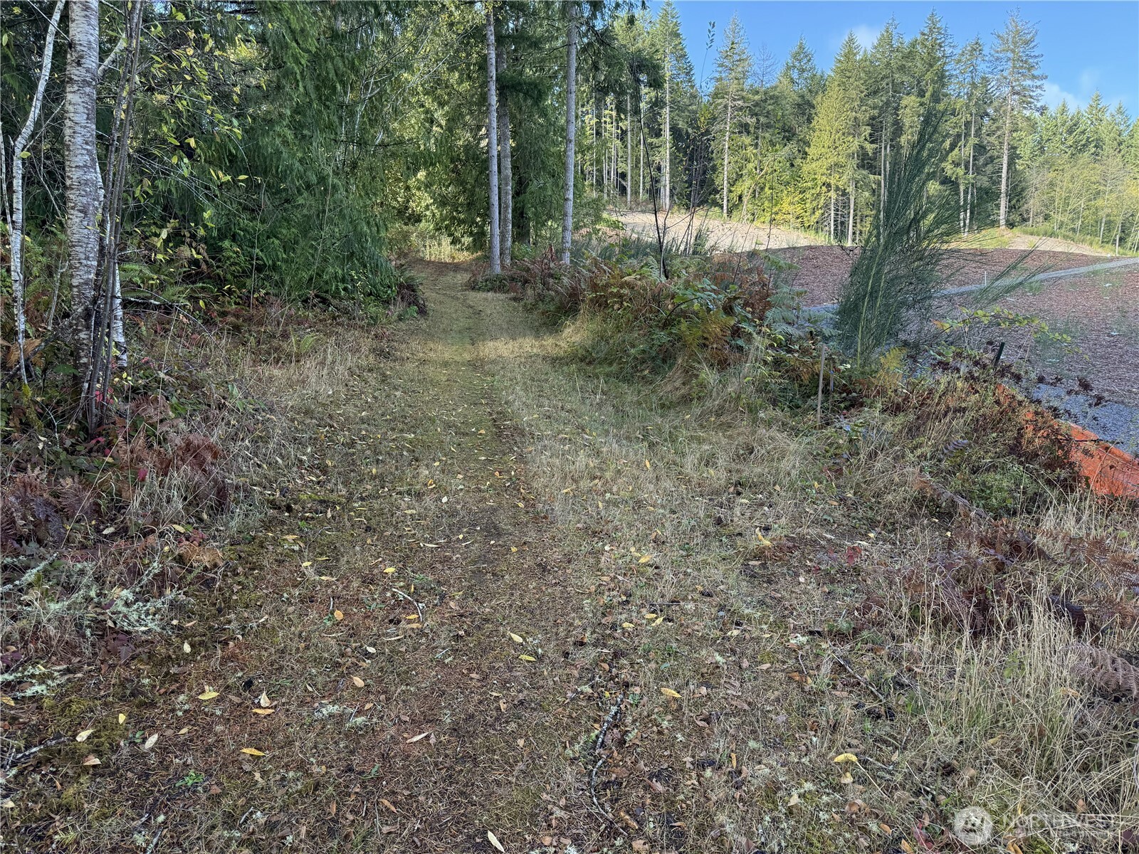 0 Northwest Sigurd Hanson Road Silverdale, WA 98383 - Photo 6 of 24 a view of a forest with trees in the background