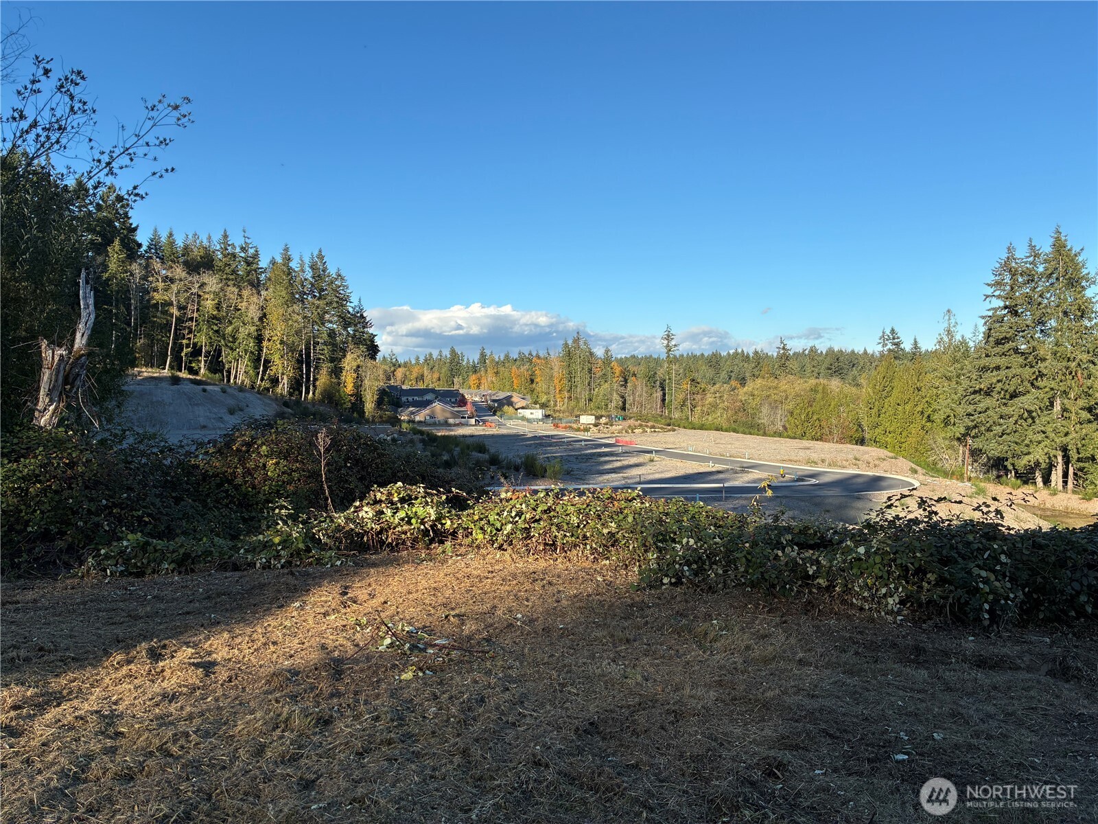 0 Northwest Sigurd Hanson Road Silverdale, WA 98383 - Photo 8 of 24 a view of a yard with an outdoor space