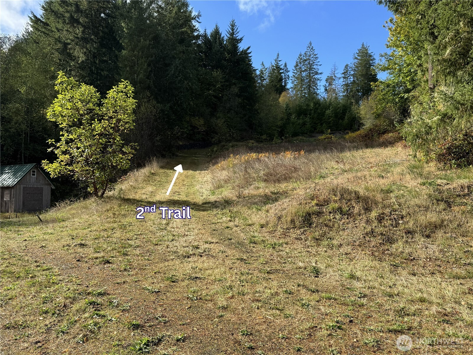 0 Northwest Sigurd Hanson Road Silverdale, WA 98383 - Photo 9 of 24 a backyard of a house with lots of green space