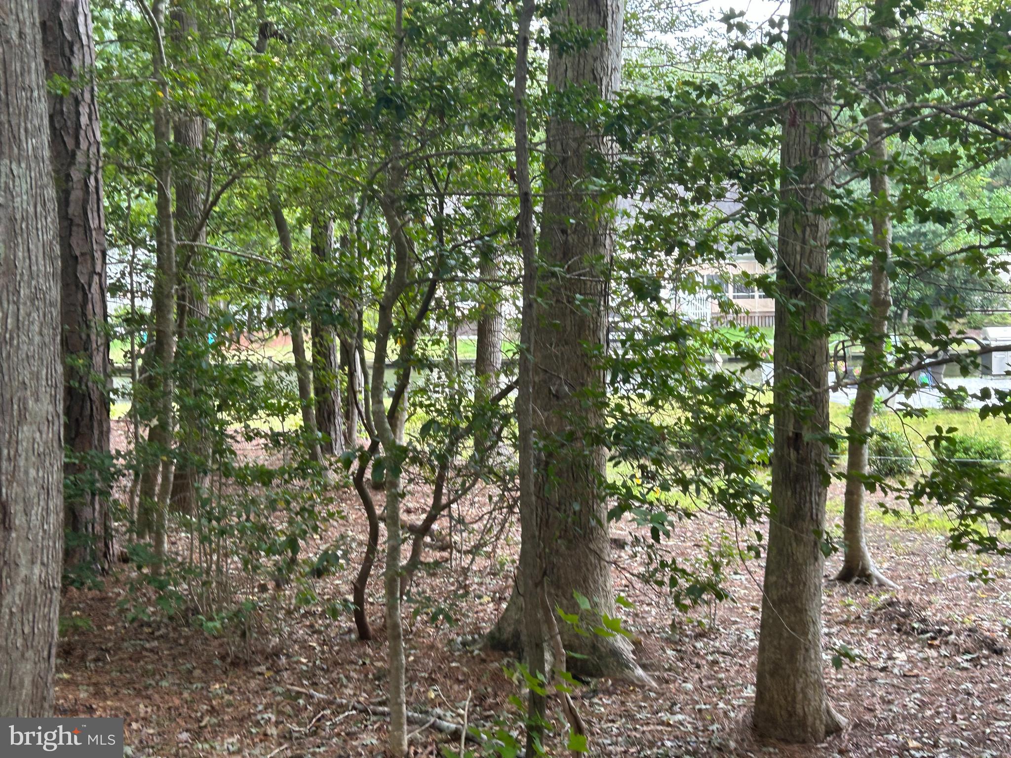 37 Brookside Road Berlin, MD 21811 - Photo 15 of 30