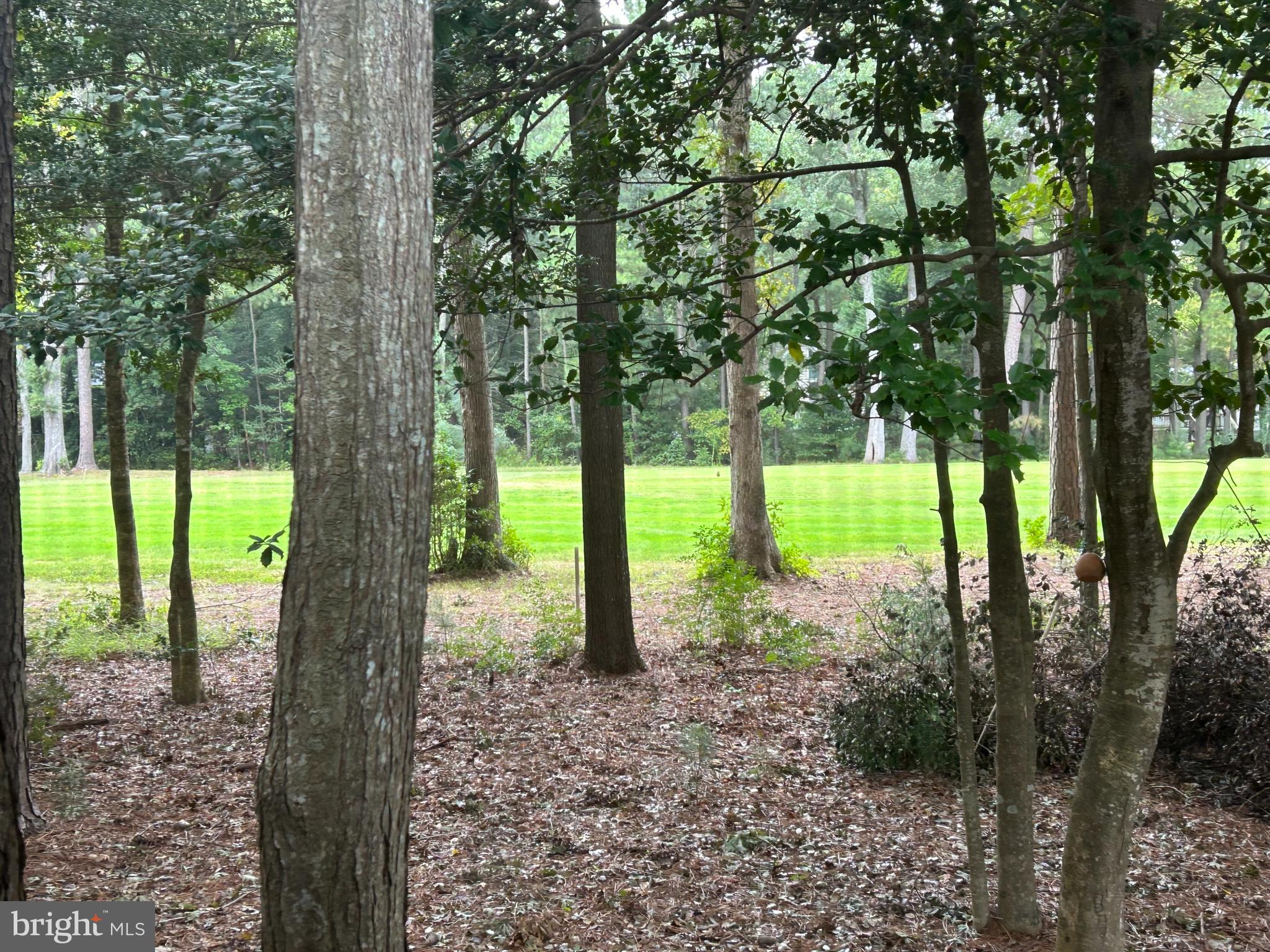 37 Brookside Road Berlin, MD 21811 - Photo 16 of 30