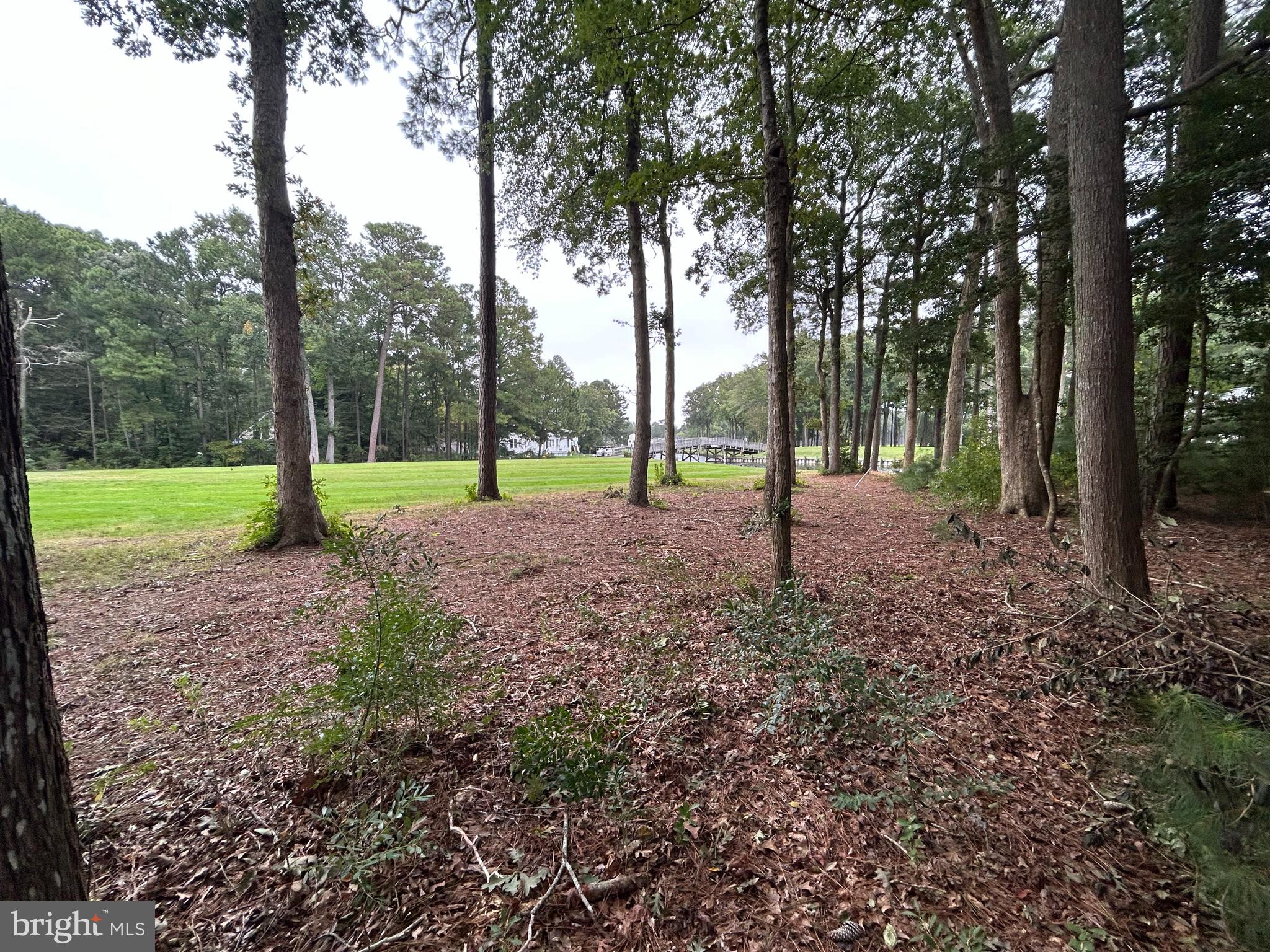 37 Brookside Road Berlin, MD 21811 - Photo 18 of 30