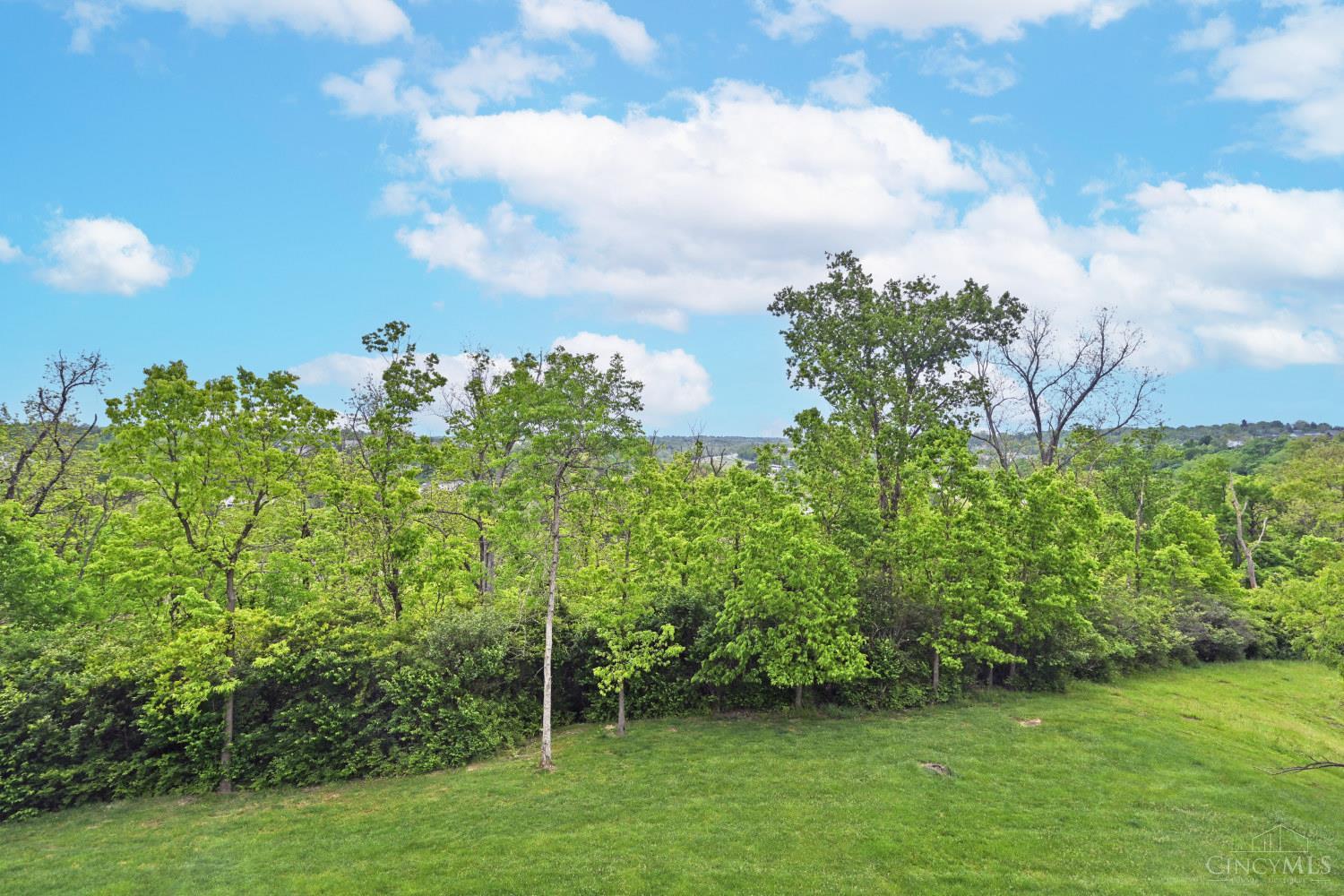 7302 Bridge Point Drive Cincinnati, OH 45248 - Photo 27 of 42