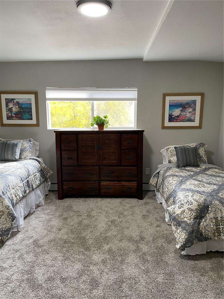 824 Apex Valley Road Black Hawk, CO 80422 - Photo 11 of 38 Gallery Image 11