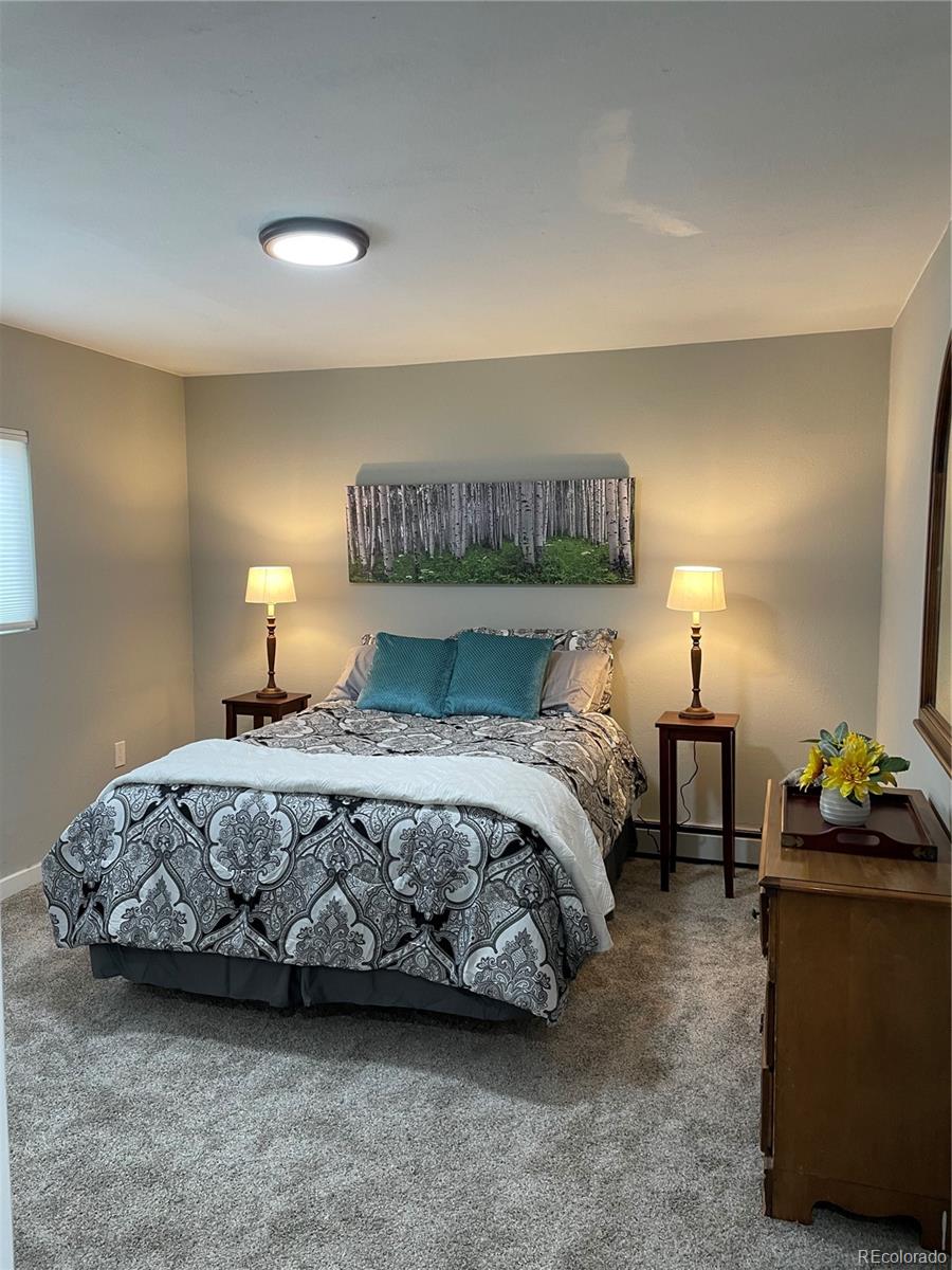 824 Apex Valley Road Black Hawk, CO 80422 - Photo 9 of 38 Gallery Image 9
